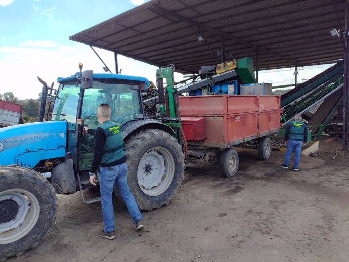 Imagen de la Guardia Civil en una operación contra el hurto de 1.755 kilos de aceituna.