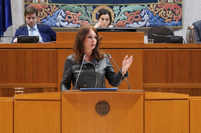 Archivo - La actual directora general de Comercio, Ferias y Artesanía,  Carmen Herrarte, durante su reciente etapa como diputada de las Cortes.