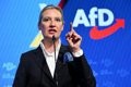 AfD se ofrece a los conservadores para formar gobierno