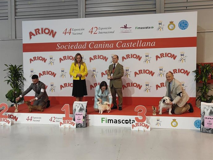Finalistas de la exposición internacional canina celebrada en Fimascota.