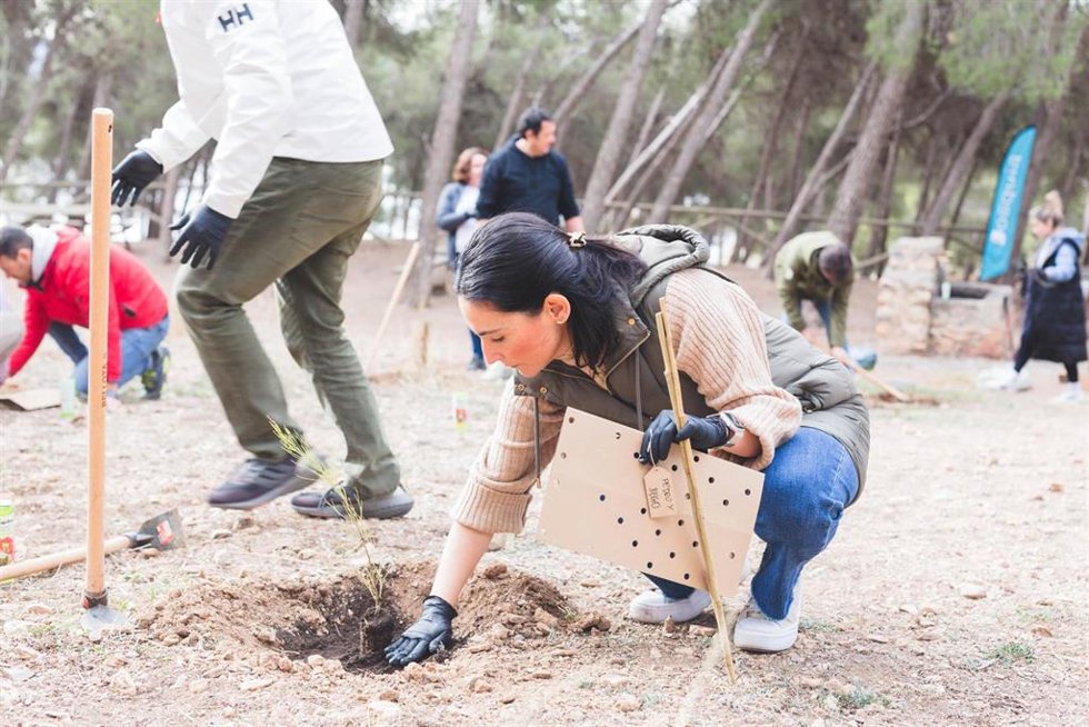 El Bosque de Aedas Homes supera ya los 10.600 árboles repartidos por toda España
