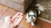 Foto: Farmacéuticos piden cumplir con la ley que les habilita para ser los únicos en dispensar medicamentos veterinarios