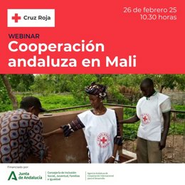 Cartel de la 'webinar' sobre Cooperación Internacional andaluza en África subsahariana.
