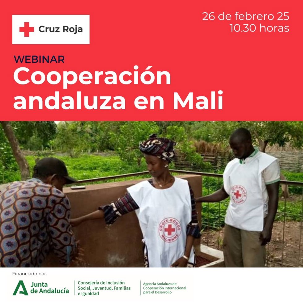 Cartel de la 'webinar' sobre Cooperación Internacional andaluza en África subsahariana.