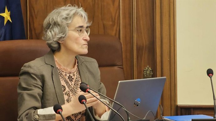 La directora del IET, Inmaculada Plaza.