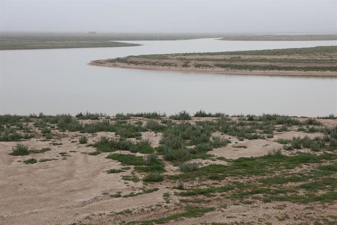 Imágenes de las Marismas de Trebujena. A 17 de febrero de 2025 en Trebujena, Cádiz (Andalucía, España).
