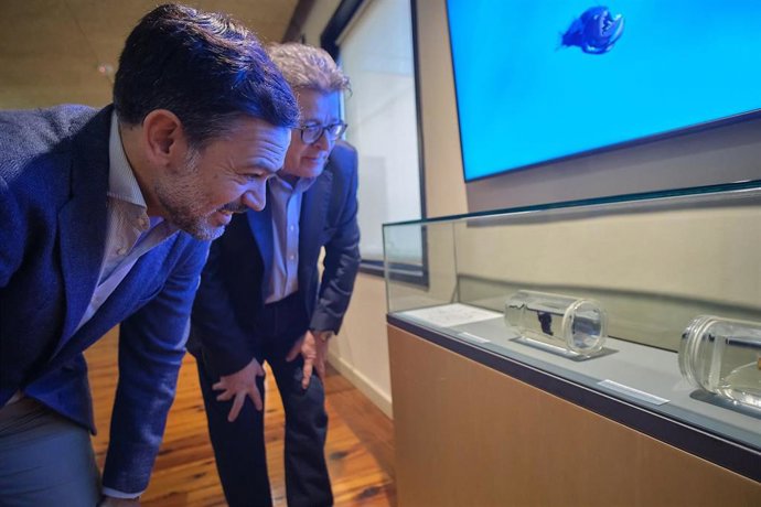 El vicepresidente del Cabildo de Tenerife, Lope Afonso, y el consejero de Cultura, José Carlos Acha, observan el ejemplar de 'pez diablo' expuesto en una sala del MUNA