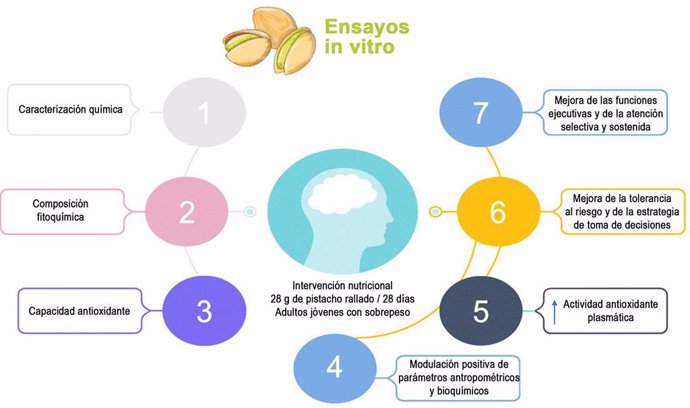 Gráfico del estudio