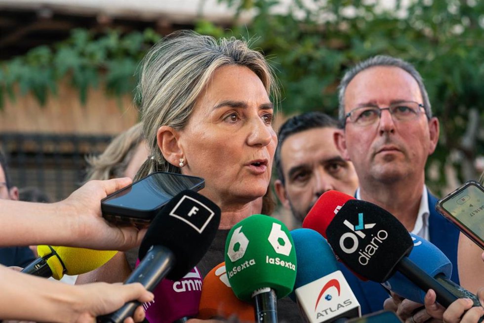 Archivo - La delegada del Gobierno en Castilla-La Mancha, Milagros Tolón, atiende a los medios. Foto de archivo.