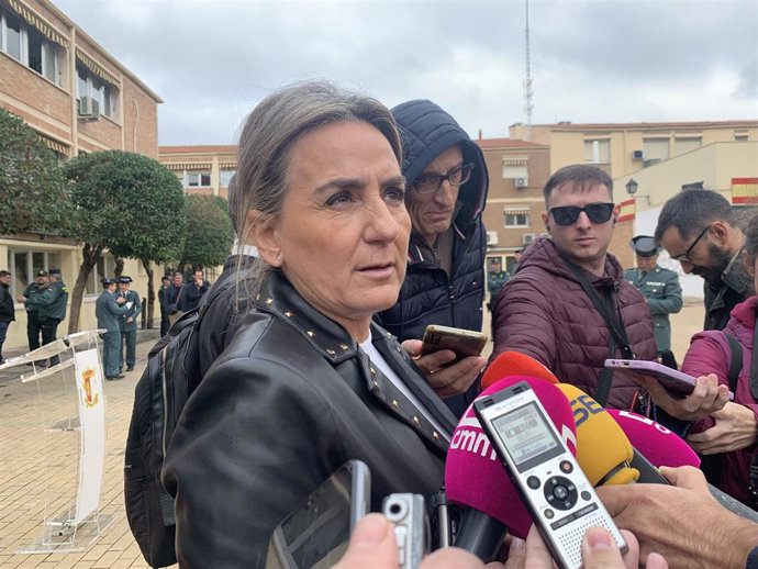 Archivo - La delegada del Gobierno en Castilla-La Mancha, Milagros Tolón