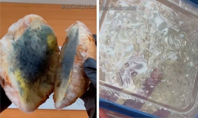 Captura de tela de um vídeo do TikTok @soycienciaycocina.