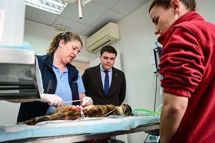 El regidor de Medio Natural del Ayuntamiento de Palma, Llorenç Bauzà, en su visita a Son Reus.