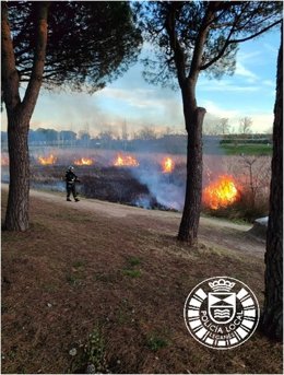 Apagan un incendio sin heridos en el Parque Lineal de Burtarque de Leganés