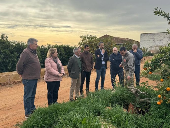 Barrachina ressalta el suport als productors ecològics amb inversions que superen els 10 milions d'euros en ajudes anuals