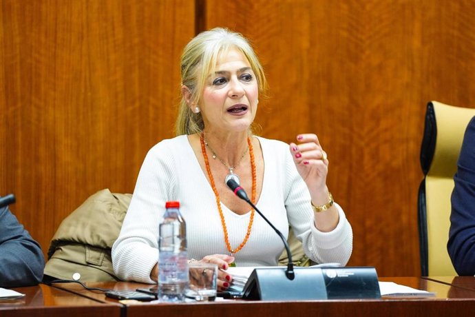 La consejera de Cultura y Deporte, Patricia del Pozo, en comisión parlamentaria a fecha de 25 de febrero de 2025.