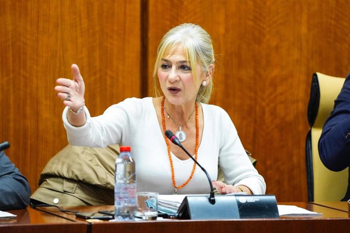 La consejera de Cultura y Deporte, Patricia del Pozo, en comisión parlamentaria a fecha de 25 de febrero de 2025.