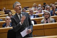 Marlaska garantiza la continuidad del GRS de la Guardia Civil en Tenerife