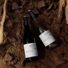 Gamma Magnètic de Familia Torres.