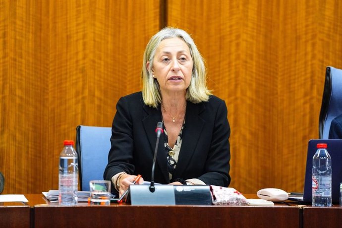 La consejera de Salud, Rocío Hernández, este martes durante su comparencia parlamentaria en comisión.