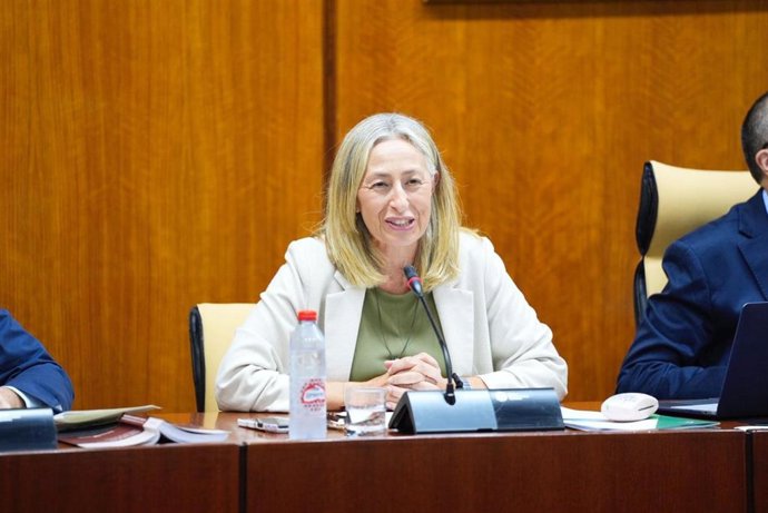 Archivo - La consejera de Salud y Consumo de la Junta de Andalucía, Rocío Hernández, en imagen de archivo en comisión parlamentaria