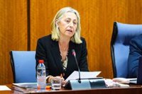 Rocío Hernández admite "lentitud" para resolver la Oferta de Empleo Público del SAS: "Son procedimientos muy costosos"