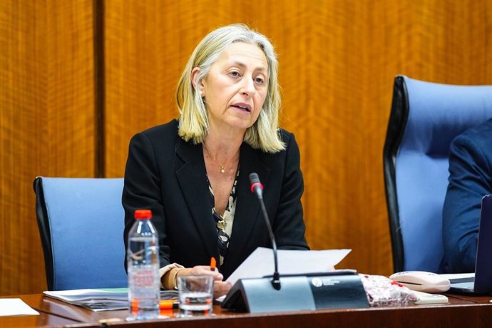 La consejera de Salud y Consumo, Rocío Hernández, en la comisión parlamentaria de hoy.