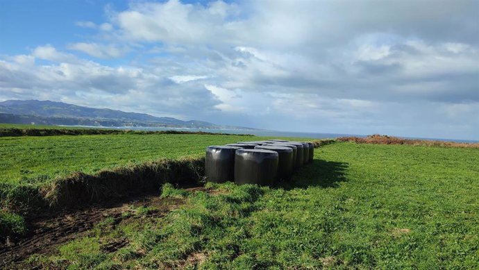 Campo asturiano en el entorno de Cabo Busto.