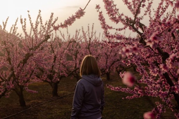 Imagen de una edición anterior de la Ruta de la Floración, en Fraga (Huesca).