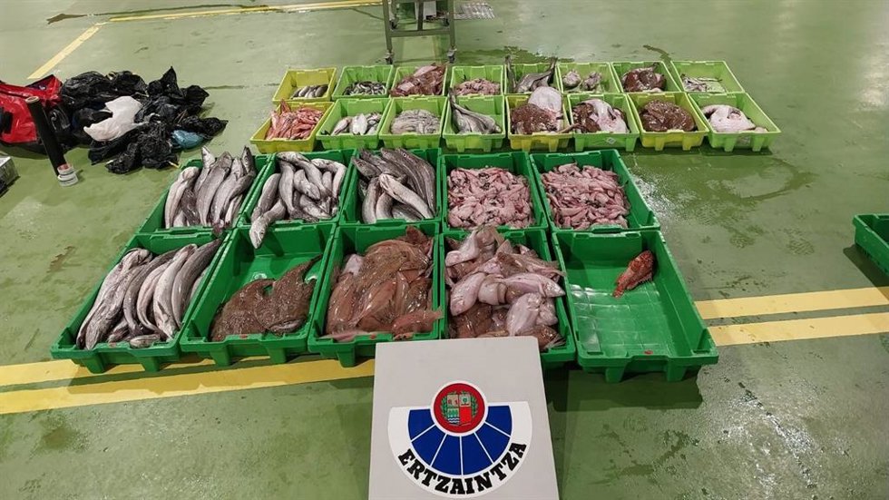 Pescado intervenido en Ondarroa