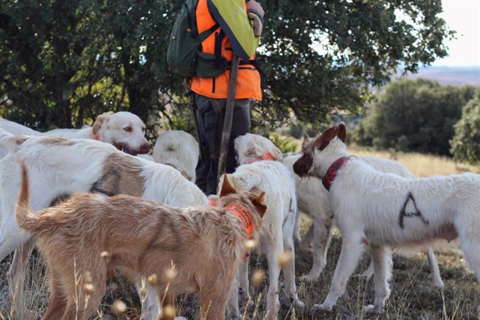 ARRECAL reclama que los veterinarios puedan dispensar medicamentos a perros de rehala.