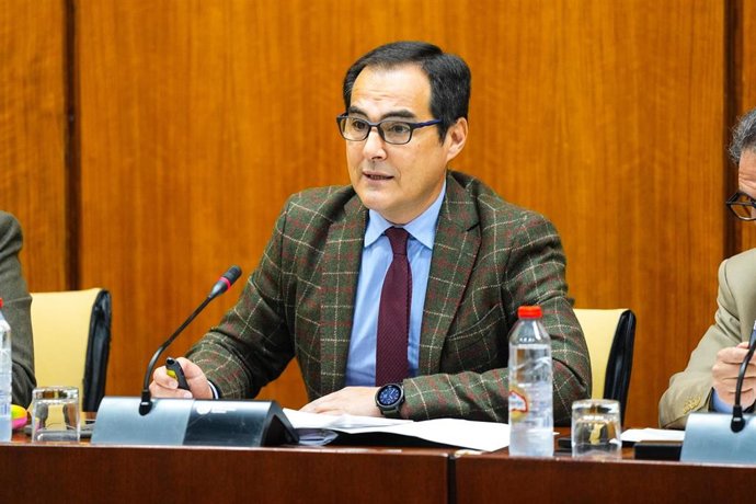 El consejero de Justicia de la Junta de Andalucía, José Antonio Nieto, en la comisión parlamentaria del 26 de febrero de 2025.