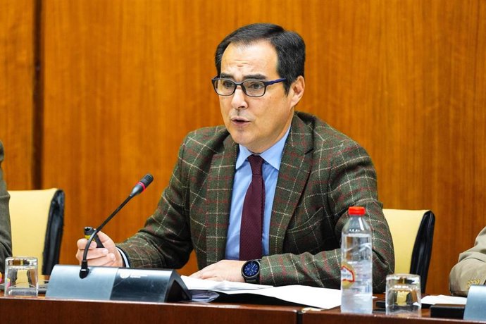 El consejero de Justicia de la Junta de Andalucía, José Antonio Nieto, en la comisión parlamentaria del 26 de febrero de 2025.