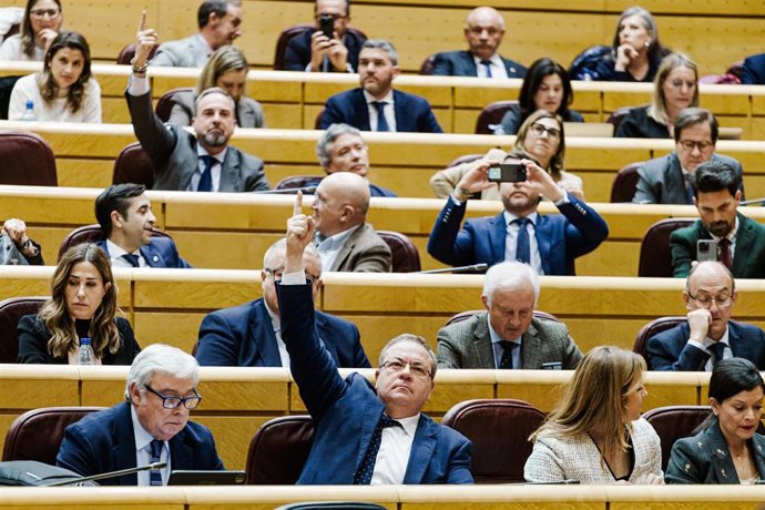 Senadores durante una sesión plenaria extraordinaria, en el Senado, a 28 de enero de 2025, en Madrid (España).  