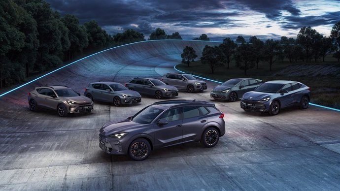 Els models de Cupra