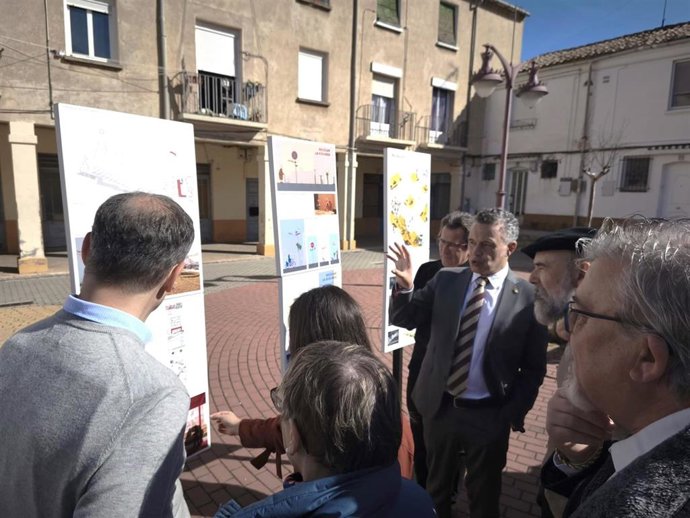 Cuatro proyectos que reflexionan sobre la conexión humana y urbana con la naturaleza ganan concursos de Concéntrico 2025