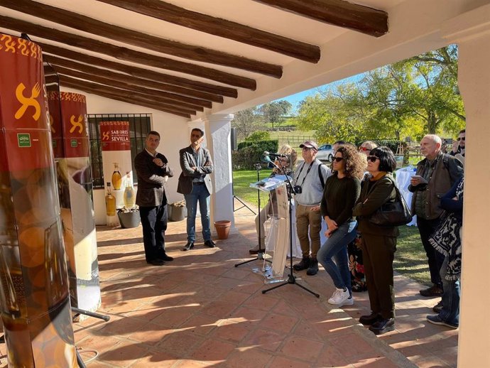 Archivo - Sevilla.-Turismo.-Los alojamientos reglados de la provincia alcanzan el 75% de ocupación en este puente de diciembre