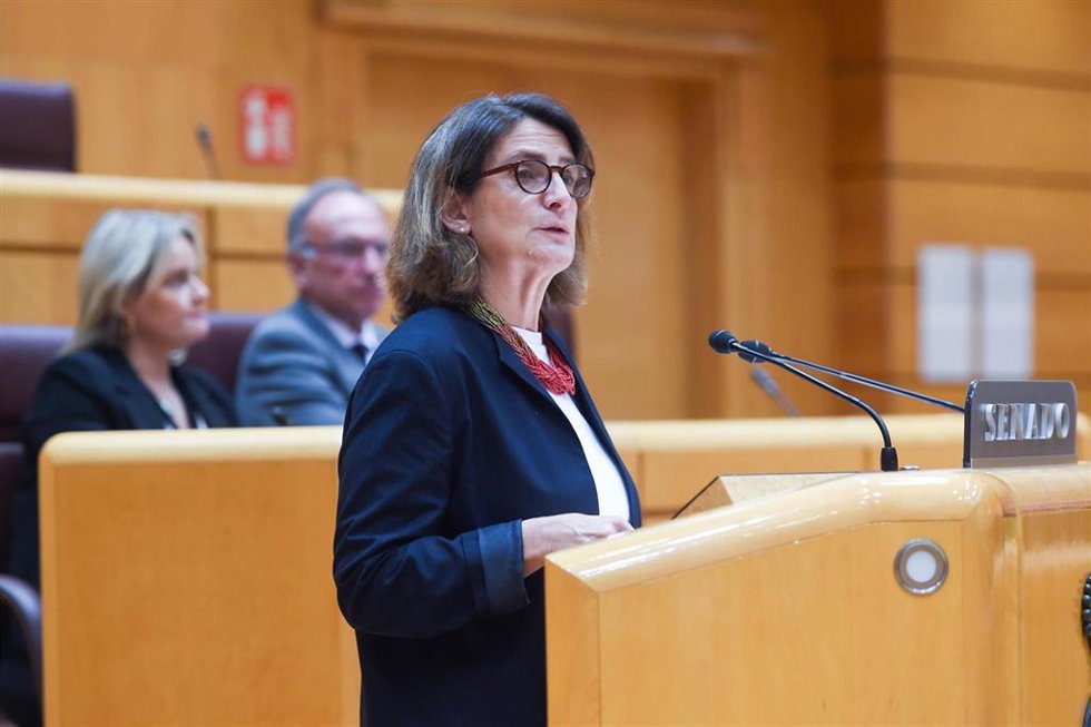 Archivo - La vicepresidenta tercera y ministra para la Transición Ecológica y el Reto Demográfico, Teresa Ribera, interviene durante el pleno del Senado, a 20 de noviembre de 2024, en Madrid (España). 