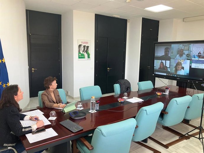 Imagen de las jornadas online de la Junta de Andalucía para formar a farmaceuticos en la actuación frente a casos de violencia de género.