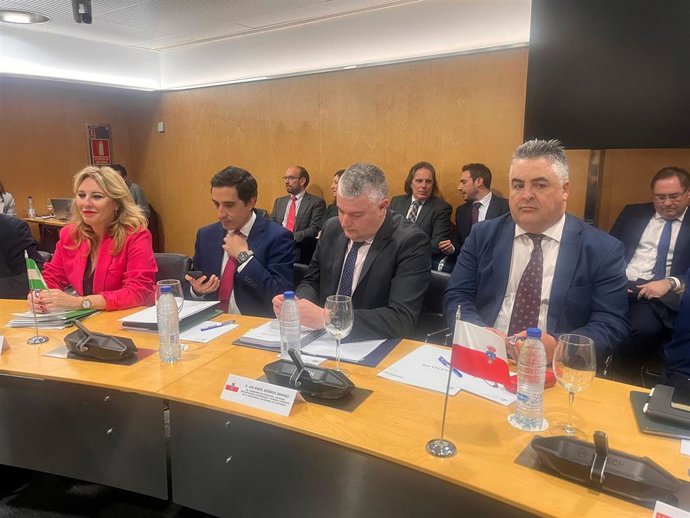 El consejero de Economía, Luis Ángel Agüeros, en el Consejo de Política Fiscal y Financiera