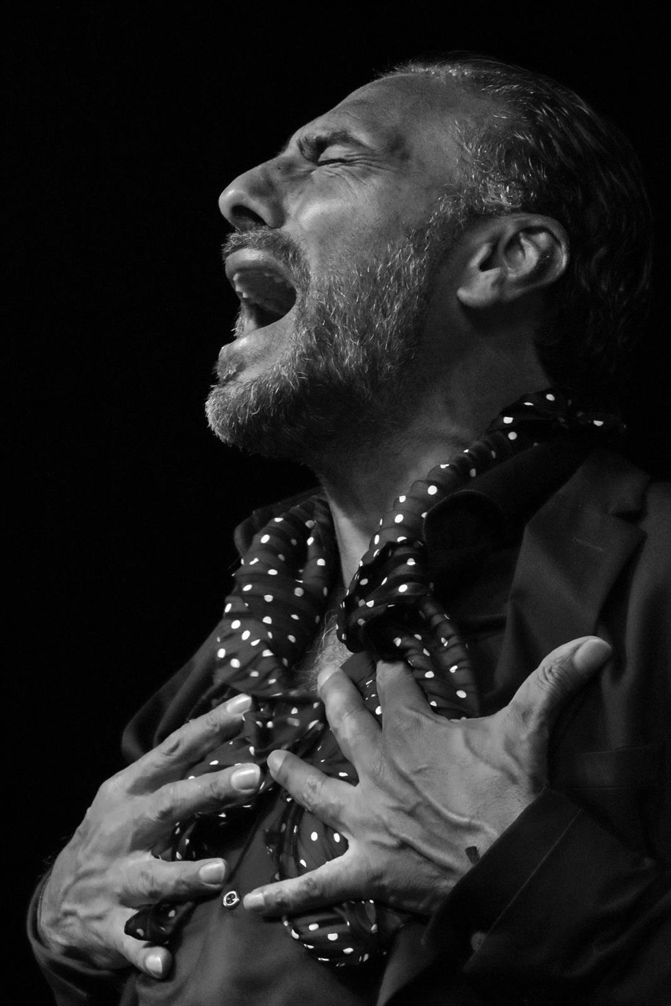Pedro El Granaíno regresa a Logroño para ofrecer su cante puro y gitano en los 'Jueves Flamencos'