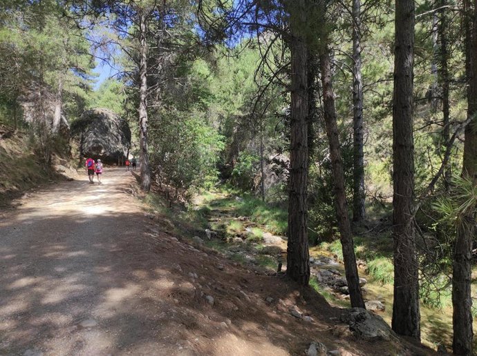 Archivo - Turistas en el sendero del arroyo Guazalamanco, en la Sierra del Pozo.