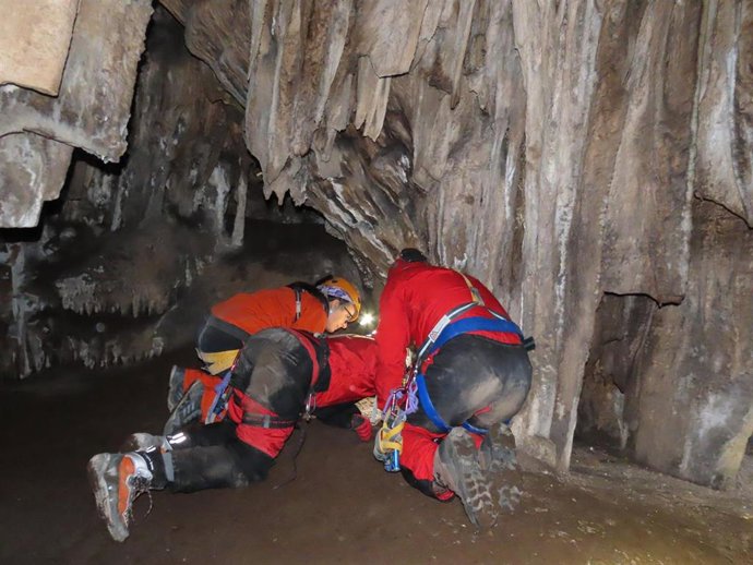 Este nuevo hallazgo se ha llevado a cabo dentro de un subproyecto relacionado con el estudio de las poblaciones de artrópodos de la cueva, especialmente las troglobias, como indicadores del estado de conservación del medio subterráneo