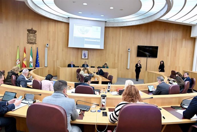Pleno de la Diputación de Granada.