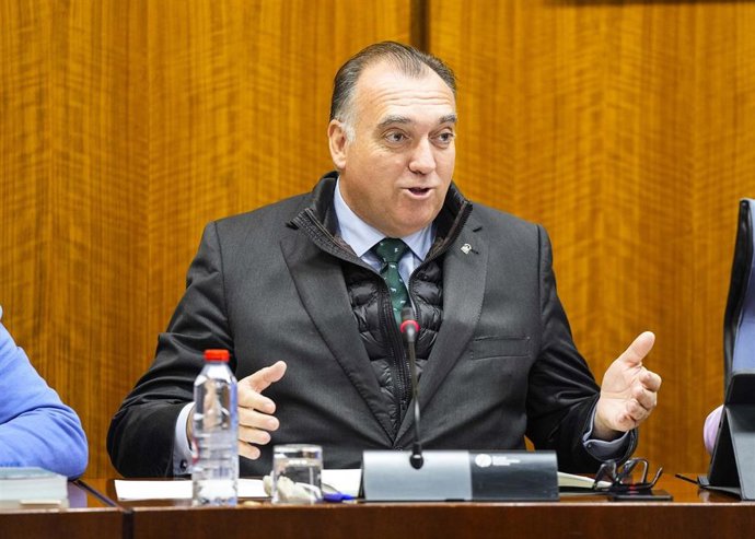 El consejero de Turismo y Andalucía Exterior, Arturo Bernal, en comisión parlamentaria.