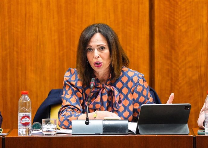 La consejera de Fomento, Articulación del Territorio y Vivienda, Rocío Díaz, en comisión parlamentario.