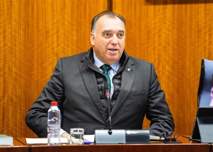 El consejero de Turismo y Andalucía Exterior, Arturo Bernal, en comisión parlamentaria a fecha de 27 de febrero de 2025.