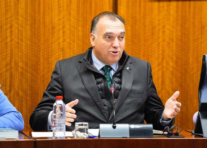 Imagen del consejero de Turismo y Andalucía Global de la Junta de Andalucía, Arturo Bernal, en una comisión parlamentaria.