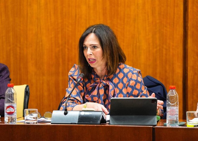 La consejera de Fomento, Rocío Díaz, en la comisión parlamentaria del 27 de febrero de 2025.