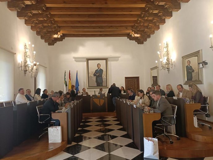 Pleno de la Diputación de Cáceres del mes de febrero