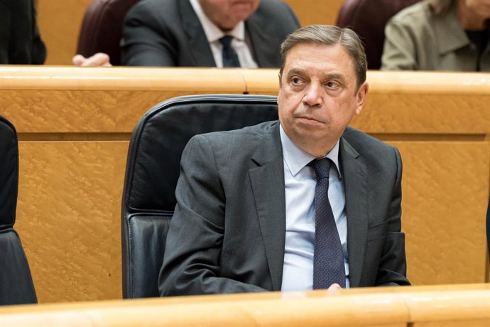 Archivo - El ministro de Agricultura, Pesca y Alimentación, Luis Planas, durante la sesión plenaria del Senado, a 19 de noviembre de 2024, en Madrid (España). En la sesión de control al Gobierno la oposición realizará un total de 19 preguntas sobre la ges